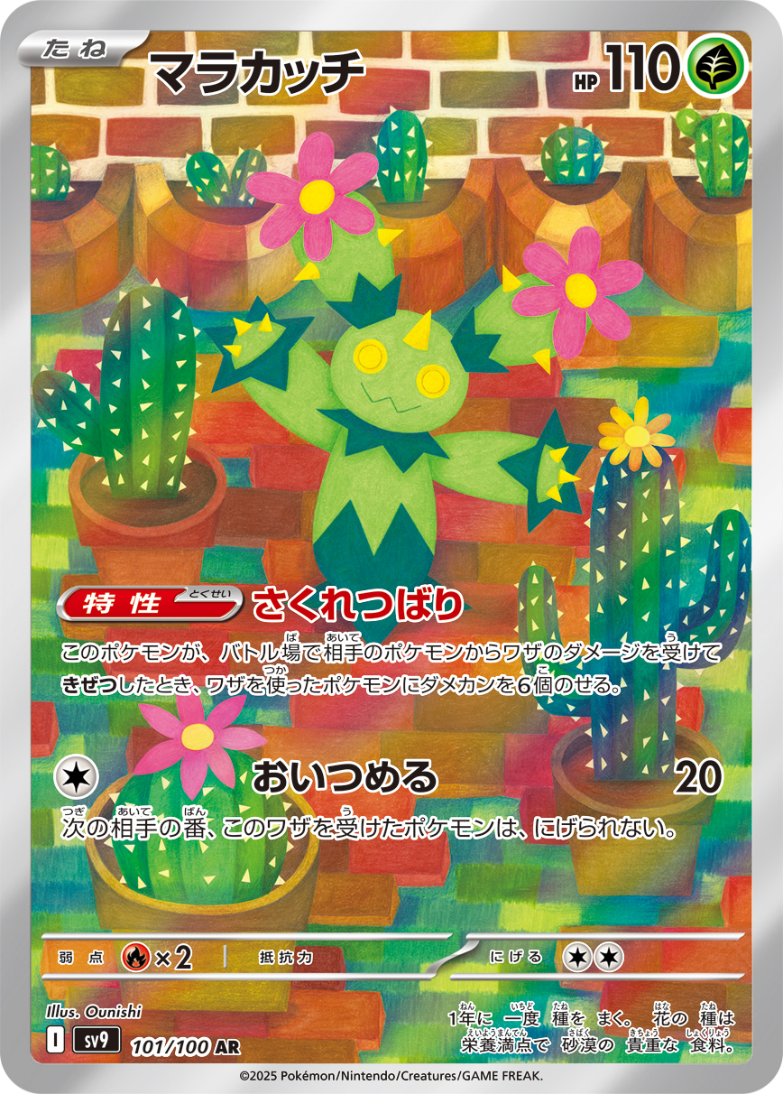 マラカッチ